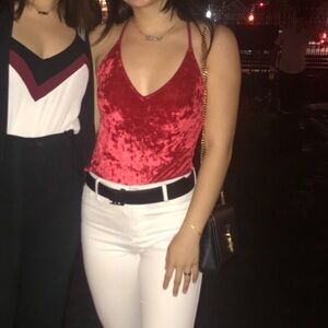 H&M Scarlet Velvet Dress